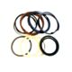 Boom Cylinder Seal Kit 4117743 For Hitachi Excavator UH07-5 UH081 UH082