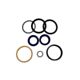 Bucket Cylinder Seal Kit 4255532 For Hitachi Excavator EX400-3 EX400-5 ZX450 ZX480MT